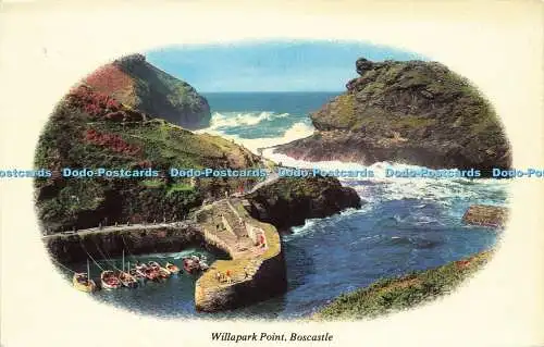 D149067 Boscastle. Willapark Point. Fotopräzision. Colourmaster International