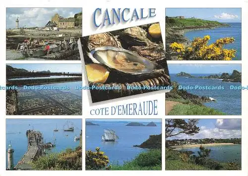 D149226 Cancale Cote D Emeraude. Austernbetten. Der Hafen. Wagenheber. 1999. Multi Vie