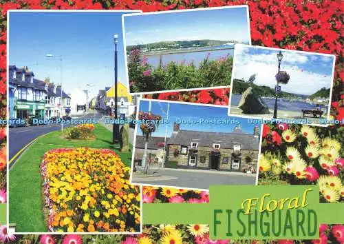 D147287 Floral Fishguard. Eden Publications. Multi View