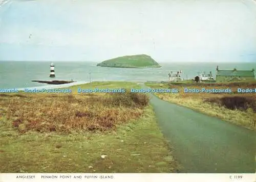 D150924 Anglesey. Penmon Point und Papageientaucherinsel. Richter. C. 1199