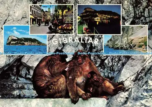 D150128 Gibraltar. Rock Photographic Service. Krüger. 1973. Multi View