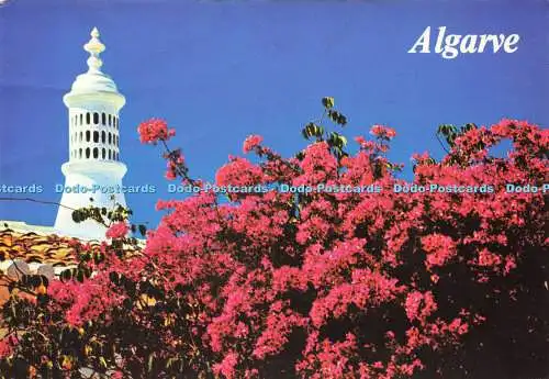 D150231 Algarve. Foto Vista