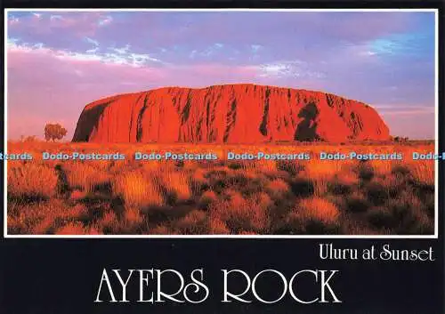 D151380 Ayers Rock. Uluru bei Sonnenuntergang. Barker Souvenirs. Kerry Williams