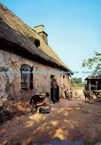 D151524 Une Chaumiere. Bos. Nr. 16