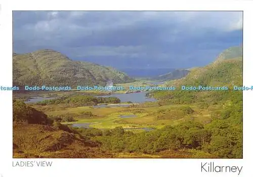 D000244 Damenansicht. Killarney. 2005. Peter Zoller