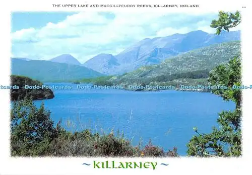 D000345 The Upper Lake und MacGillycuddy Reeks. Killarney. Irland. Killarney Pr