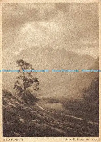 D000584 Wild Summits. Alex. H. Hamilton. A.R.P.S. Nr.5. Dixon