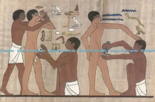 D001417 Szene der Beschneidung aus Grab von Ankh Mahor. Ägypten. Papyrus. Orient A