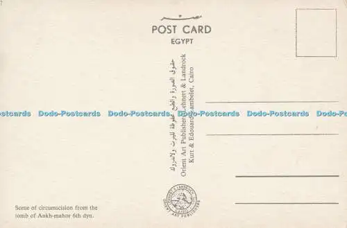 D001417 Szene der Beschneidung aus Grab von Ankh Mahor. Ägypten. Papyrus. Orient A