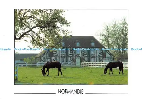 D000941 Normandie. Olivier Manson. Alain Baudry