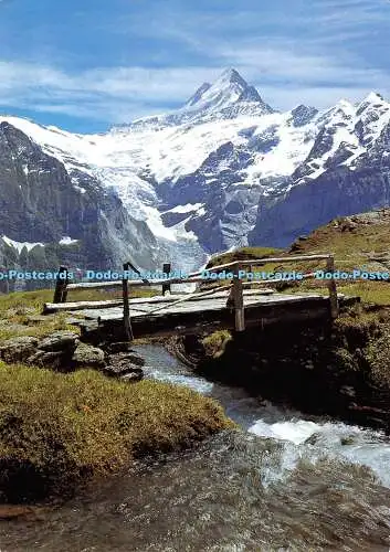 D003450 Schreckhorn. Grindelwald. Ernst Schudel