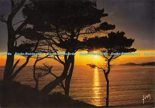 D003466 Crepuscule sur la mer. Yvon