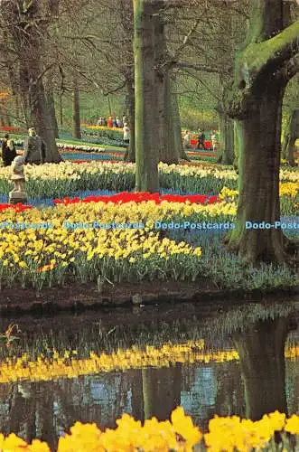 D001057 Keukenhof. Lisse Holland. L.Blok. Planeta. Haarlem. Holland