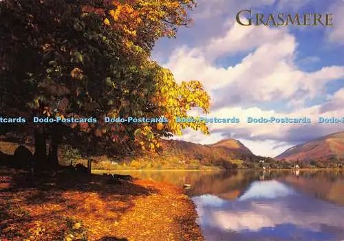 D003774 Grasmere. Cumbria. Hinde. Lake District. Vic Guy