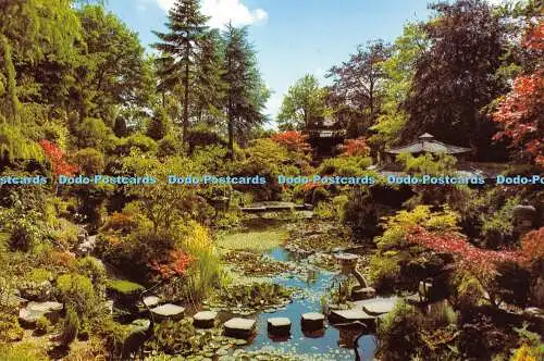 D003836 Japanischer Garten. Trittsteine. Compton Acres. Poole. Dorset