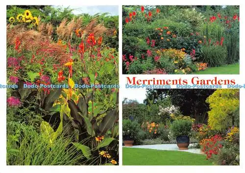 D003883 Merriments Gardens. Südostengland. Der Garten. Richter. Multi View