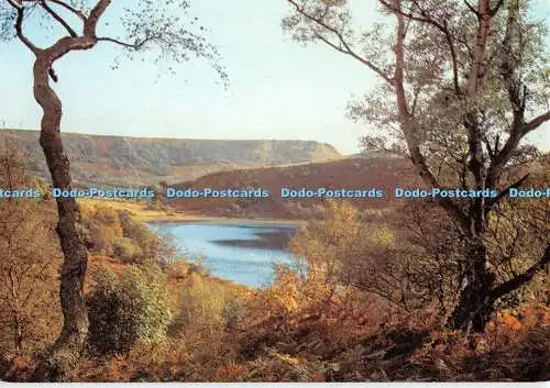 D005421 Lake Gormire und Roulston Narbe. Yorkshire. Dixon