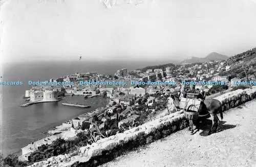 D002281 Dubrovnik. Panorama von Bosanka. Borba