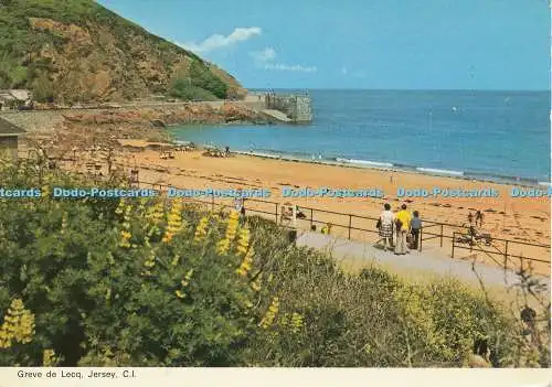 D005684 Greve de Jecq. Jersey. C.I. Dennis. Fotofarbe. Nr J.44
