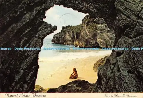 D005902 Natürliche Bögen. Bermuda. Wayne I. Macdonald. Bermuda General Agency. 198