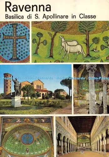 D004437 Ravenna. Basilica di S. Apollinare in Classe. E. Salbaroli. Multi View