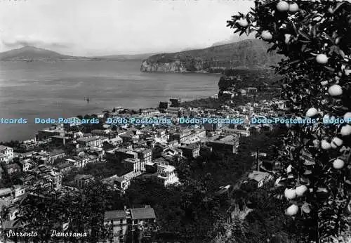 D004449 Sorrent. Panorama. Vincenzo Carcavallo. RP. PKW