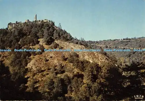 D007540 Egletons. Correze. Ventadour. Berge. Mexichrom. N 9