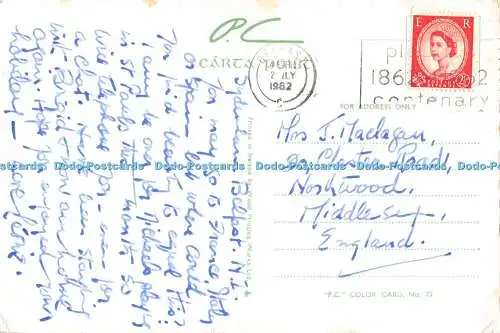 D002819 Seerosen. Nahe Vertiefung und Oberhof. Connemara. Irland. P.C. 1962