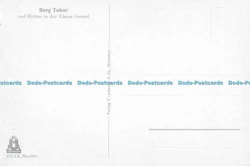 D007902 Berg Tabor. Hirten. Ebene Jesreel. Berge. N 6065