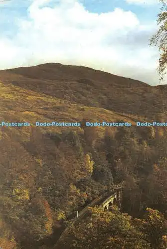 D007956 Killiecrankie. Perthshire. Ben Vrackie. Königsbund. N MJ193