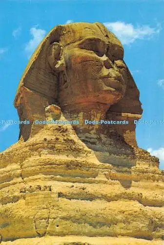 D009526 Ägypten. Gizeh. Kairo. Große Sphinx. Kopf. Lehnert. Landrock. Kairo. Nr B65