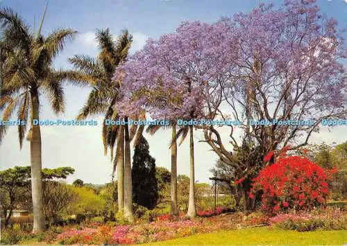 D006469 Südliches Afrika. B.K. Björnsen. Kunstverlag