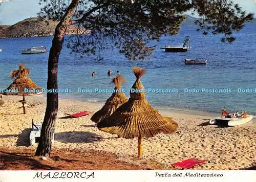 D003296 Mallorca. Perla del Mediterraneo. Playa Formentor. Ro Foto