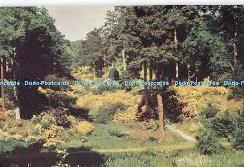 D005106 Leonardslee Gardens. Blick auf Mossy Ghyll