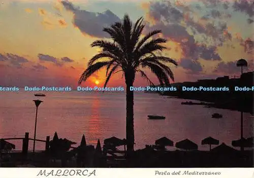 D009836 Sonnenuntergang. Mallorca. Spanien. Perla Del Mediterraneo. RO Foto. 1110