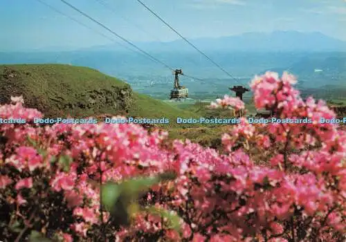 D009845 Japan. Luftbahn. Rose. Buchse. Himmel. Berg. Fukuda. Murakami