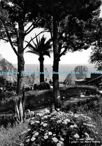 D006869 Capri. Giardini del Parco Augusto. RP. 1960