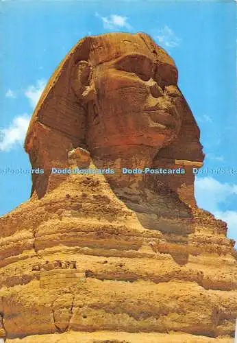 D010021 Gizeh. Große Sphinx. Kopf. Lehnert. Landrock. K. Lambelet. Kairo
