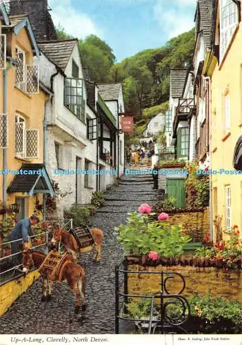 D008639 bis A Long. Clovelly. North Devon. E. Ludwig. Hinde. 1976