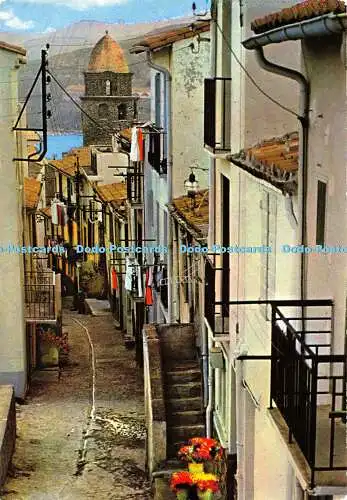 D008780 Collioure. La rue du Mirador dans le quartier du More des Maures. Larrey
