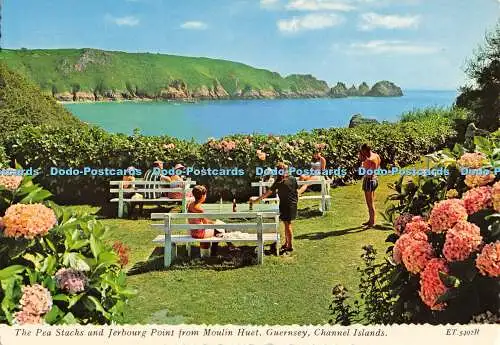 D009134 Erbsenstapel. Jerbourg Point von Moulin Huet. Guernsey. Kanalinseln. V