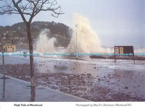 D009323 High Tide. Minehead. Robinson. Somerset. Bund. Fraueninstitute.