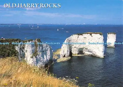 D009386 Swanage. Dorset. Old Harry Rocks. J Salmon. Sevenoaks. Kent