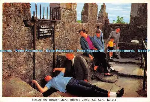 D012158 Kissing the Blarney Stone. Blarney Castle. Co. Kork. Irland. Cardall