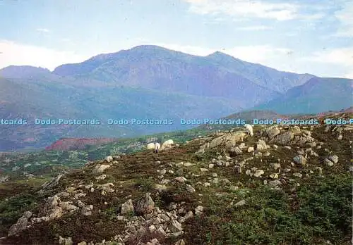 D014882 Snowdon von oben Llanberis