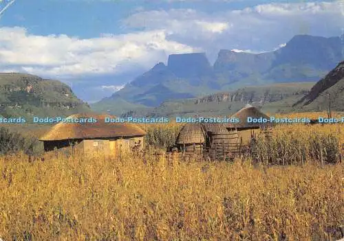 D013188 Cathkin Peak. Drakensberg. 1984