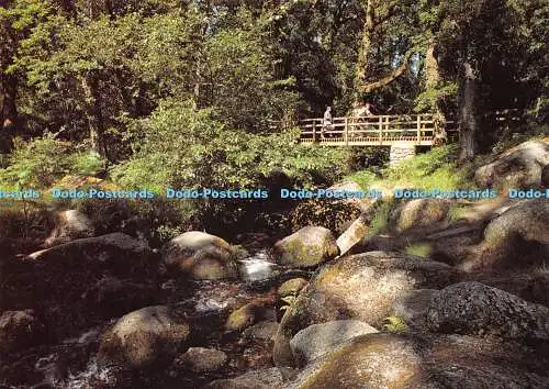 D015348 Die Brücke bei Becky Falls. Devon. Die Devonshire Press. Torquay Devon. B