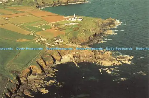 D013314 Exklusiv im Lizard Point Giftshop. 1997