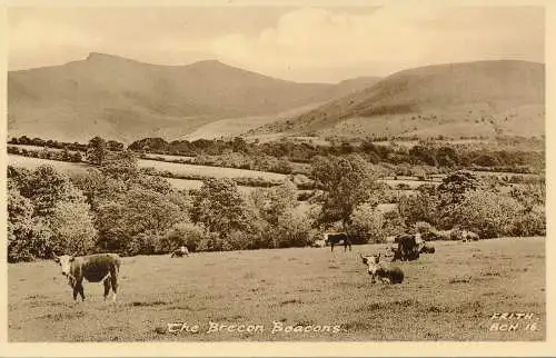 PC49293 The Brecon Beacons. Frith