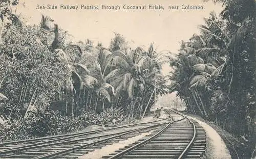 PC49809 Sea Side Railway führt durch Cocoanut Estate in der Nähe von Colombo. Platte. B.